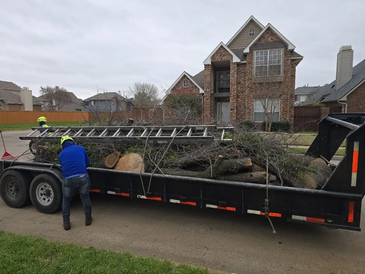 Expert Tree Removal with proper safety equipment in Haddam